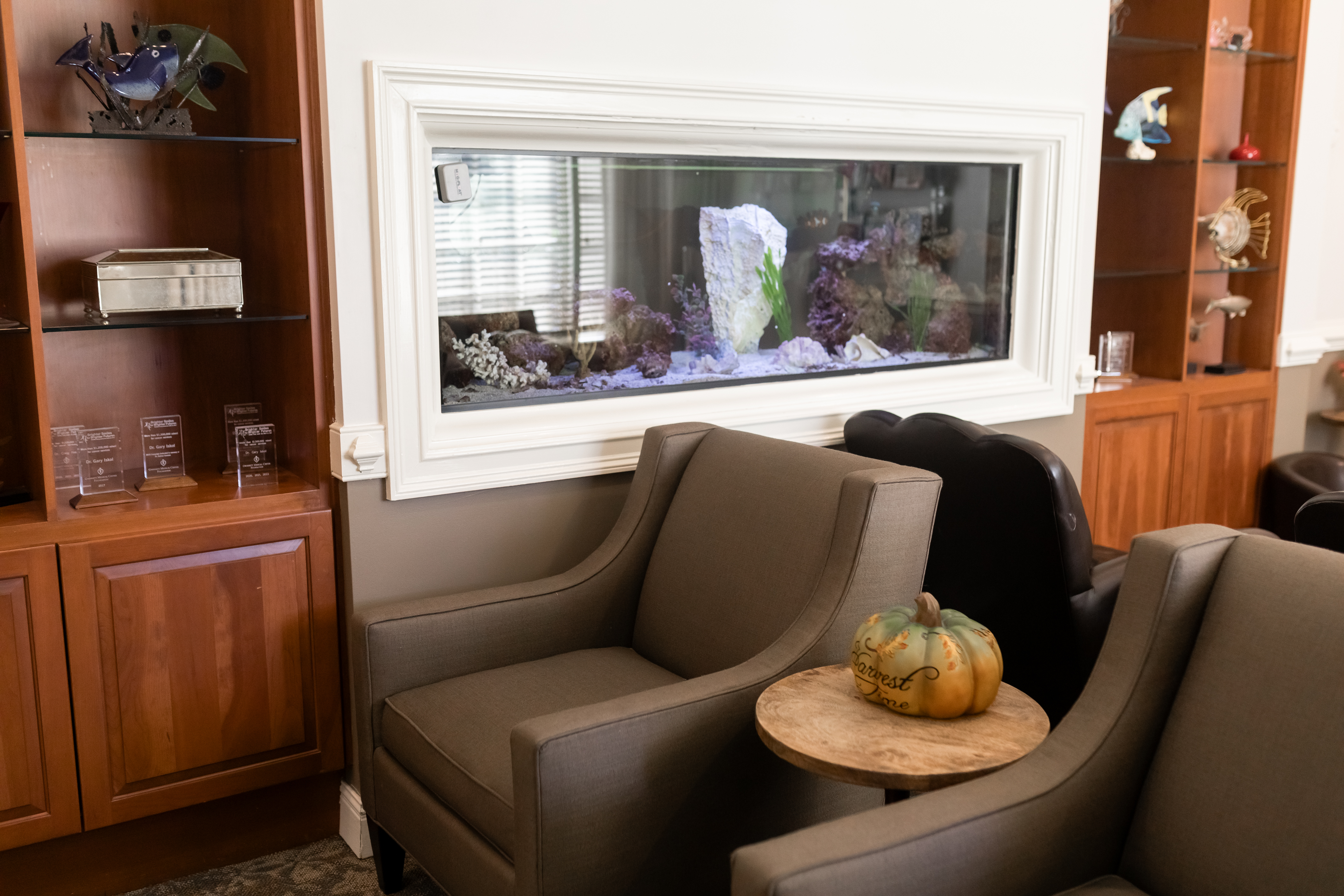 The saltwater aquarium in the Above and Beyond Dentistry waiting area