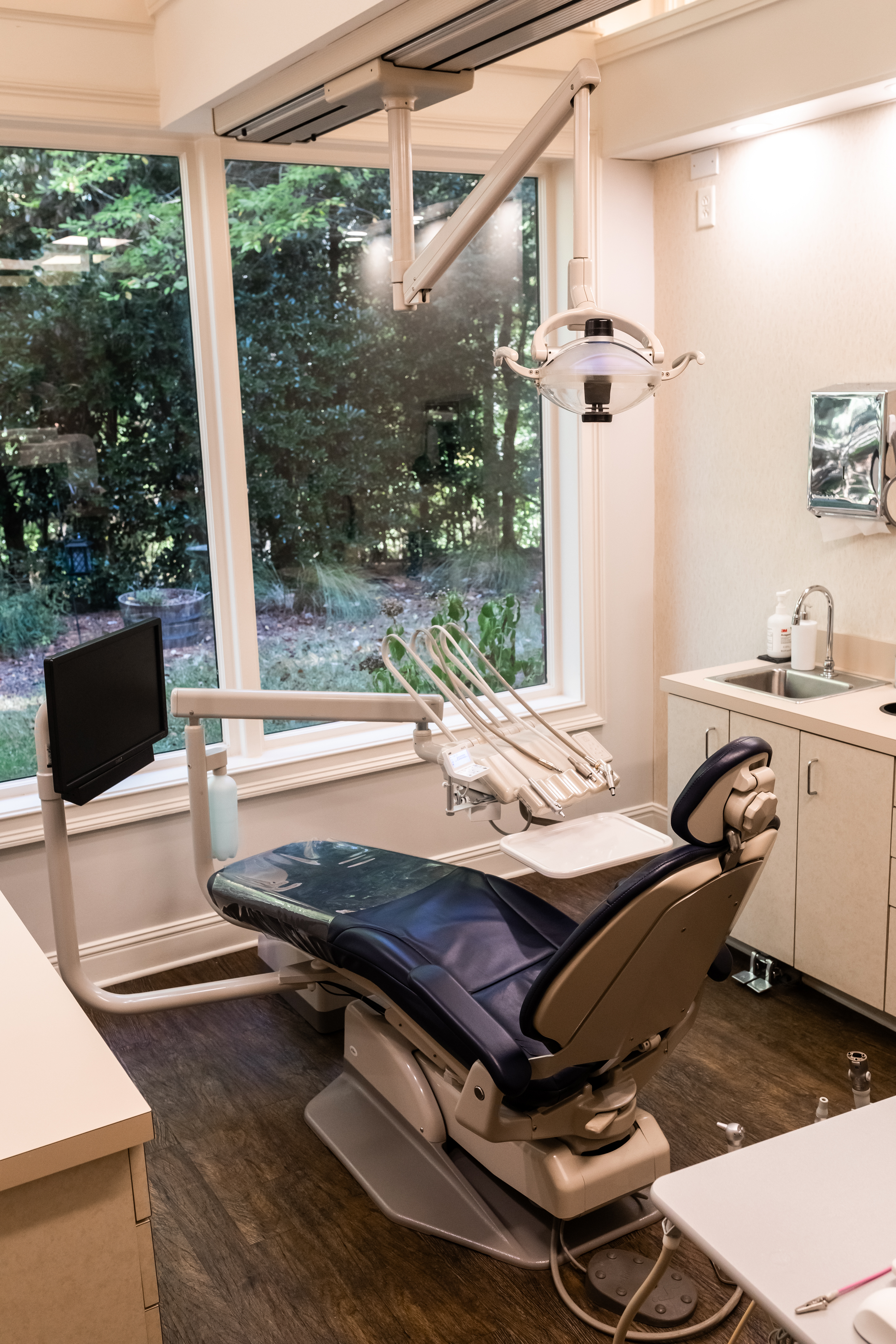 A treatment room at Above and Beyond Dentistry, with floor-to-ceiling windows looking onto the garden